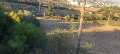 أرض فلاحية للبيع