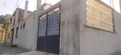 زيتونة لرهاط تيبازة