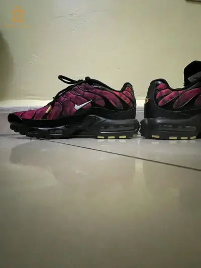 tn