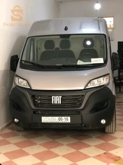 ducato 00 carte grise