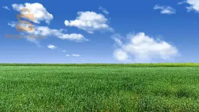 مرسط ولاية تبسة