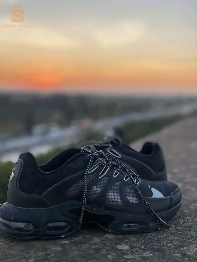 ts