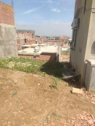قطعت ارض