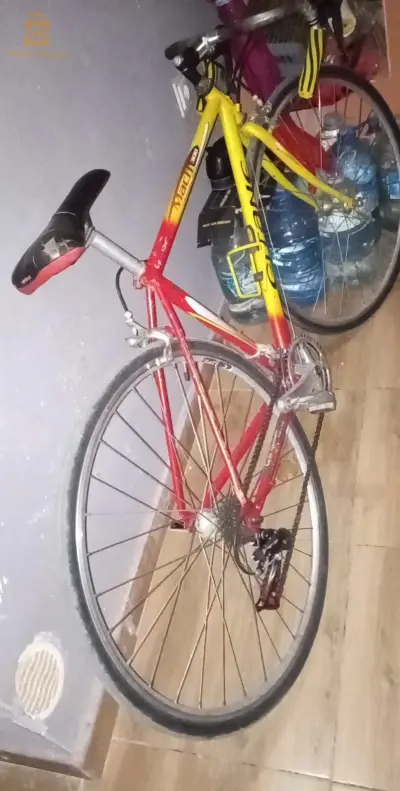 Vtt de course occasion