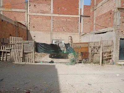 باولادسلامة الفوق
