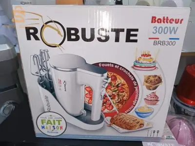 batteur électrique robuste 300w