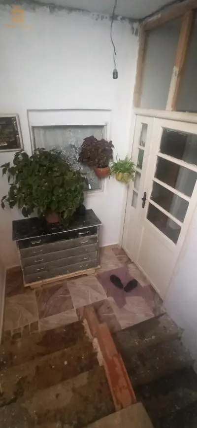 حي المستقبل بلدية الواد الاخضر تلمسان