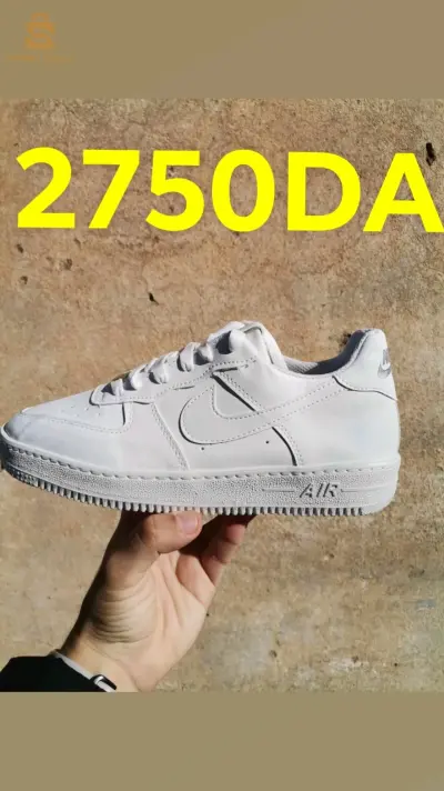 شلف سونطر لاسيتي
