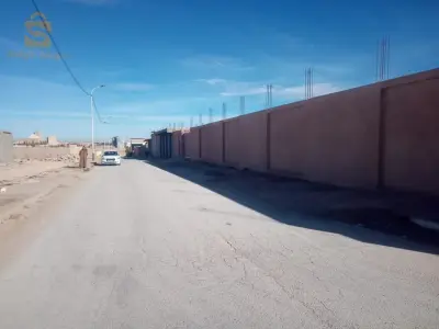 بارك سناعي