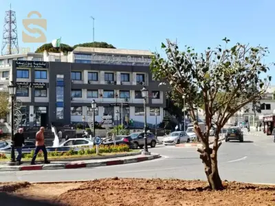 بوزريعة العاصمة  حي سيلاست قدام تليفليك لقديم