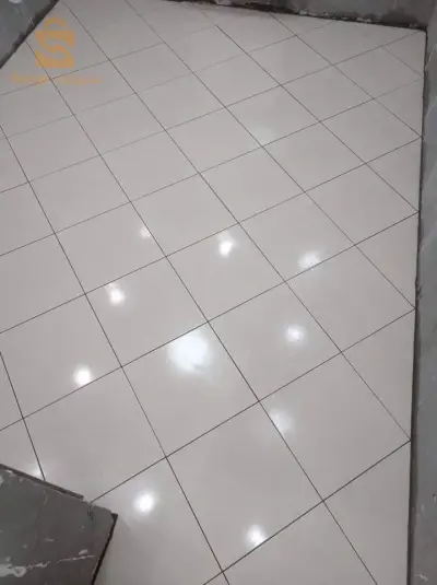 الجزائر