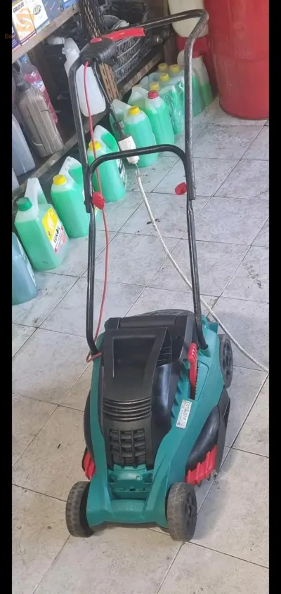 عين السفيهة  سطيف