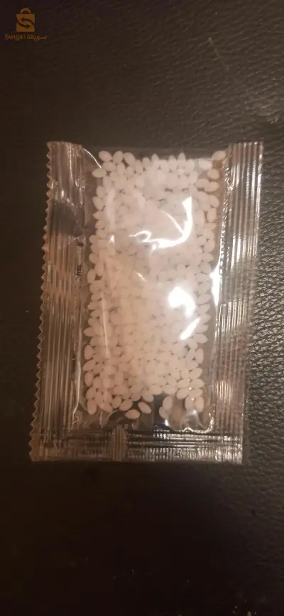 ورقلة