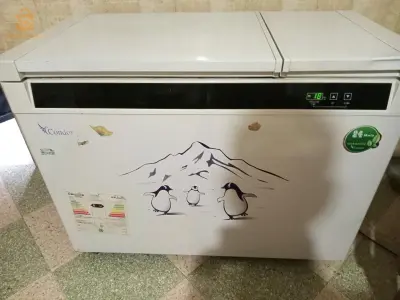 دار البيضاء