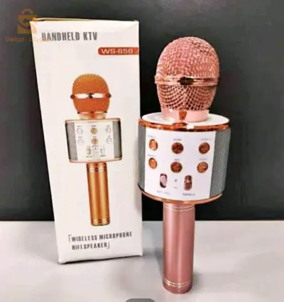 microphone 🎤