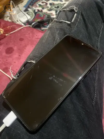 عنابة البوني