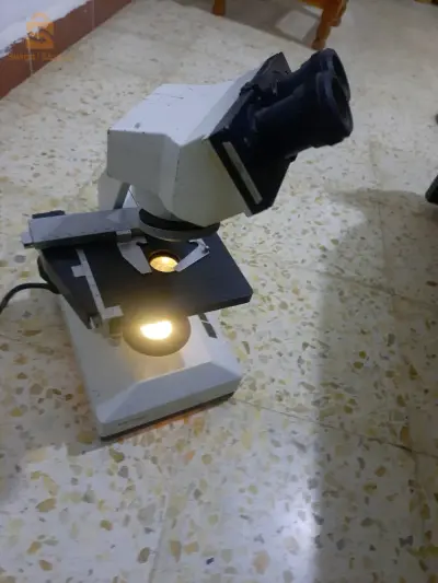 معسكر