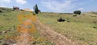 vente  terrain