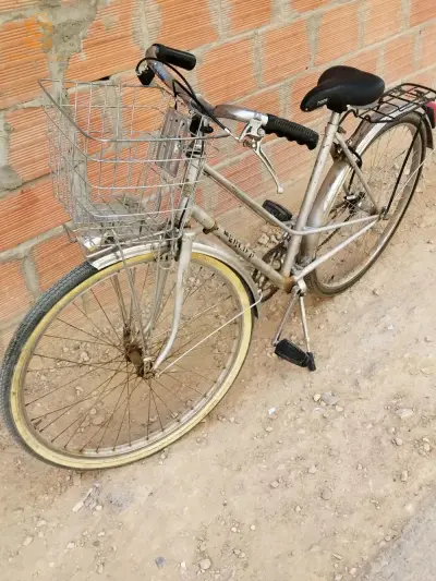 velo Dame