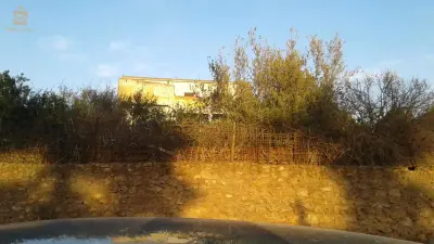 البريدية