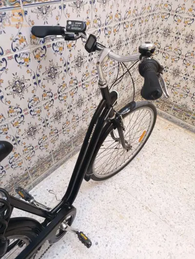 فيلو بيتوين فرنسية اصلية