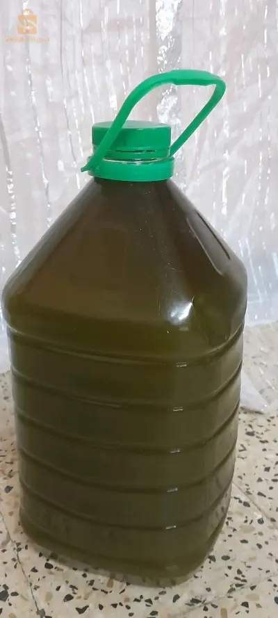 زيت زيتون