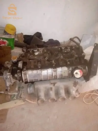 مسعد ولاية الجلفة
