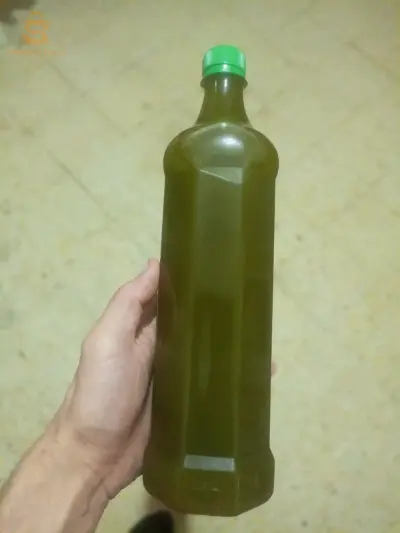 زيت زيتون جديدة