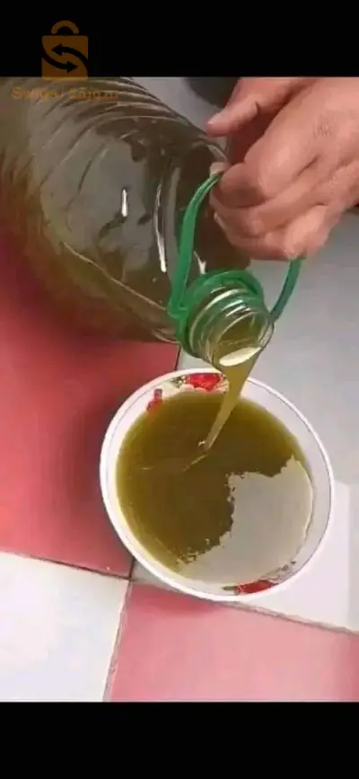 مسرغين