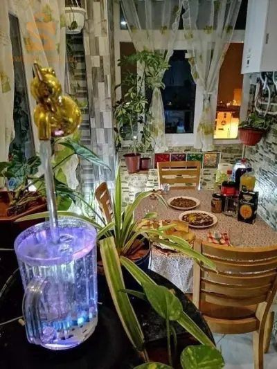location appartement luxe saison hiver