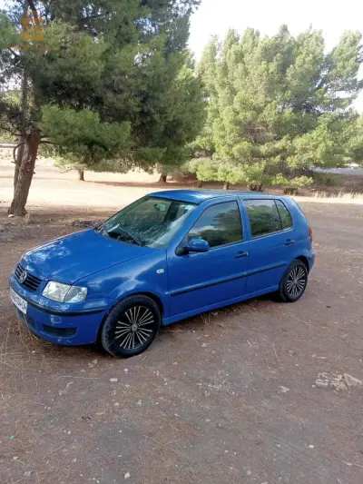 بولو