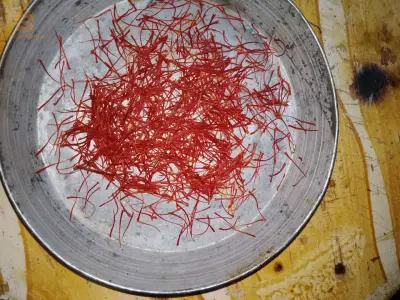 قسنطينة