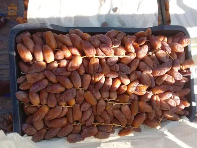 طريق العريشة سبدو
