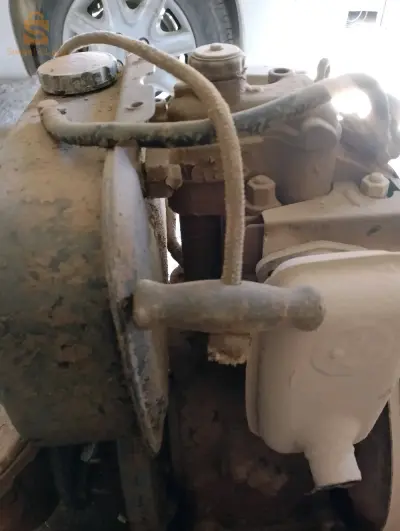بسكرة