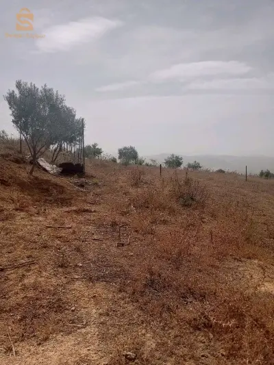 terain a vendreavendre terrain de 1500 m2 hauteur de Boumerdes