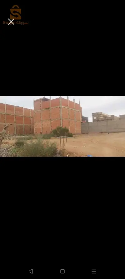مستغانم