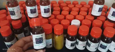 الجزائر