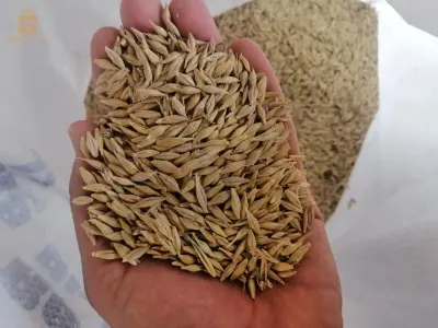 بلدية امجدل