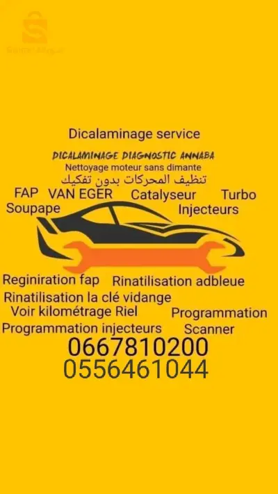 DÉCLAMINAGE DIAGNOSTIC ANNABA
