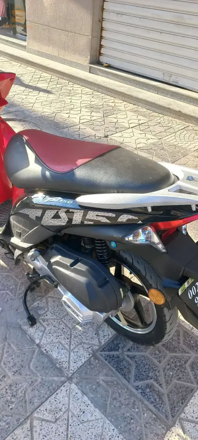 نوع ليفان جديدة نوض وقلع