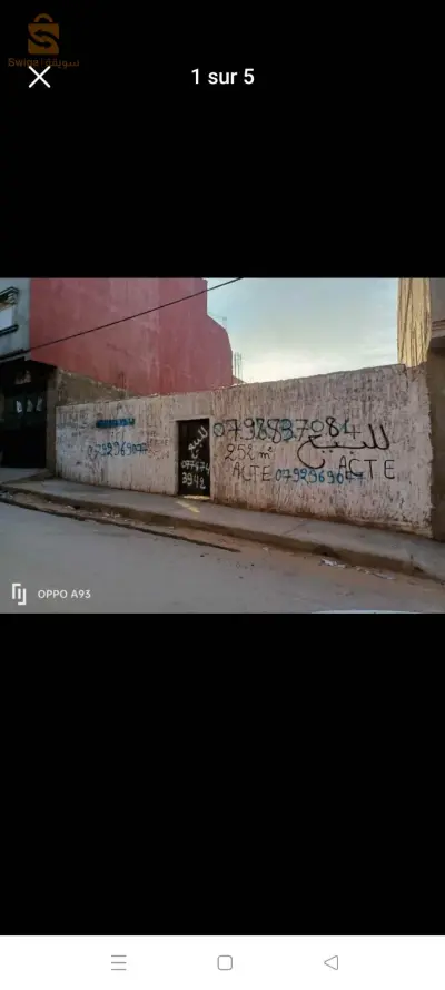 الشايرية