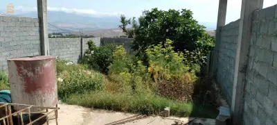 صناوة ولاية ميلة بلدية ميلة