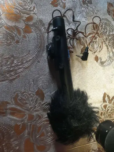 mic pour camera