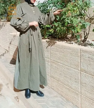 الجزائر