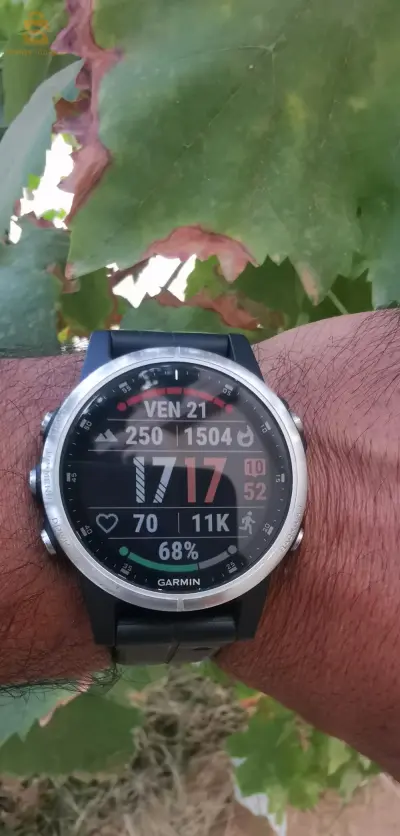 GARMIN FINIX 5S plus