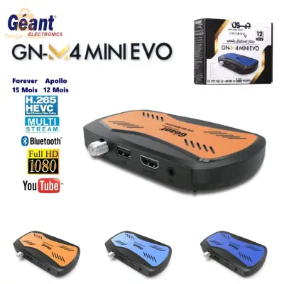 Géant Démodulateur GN-M4 Mini