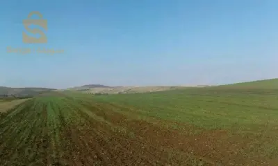طريق عين ندتموشنت
اغلال