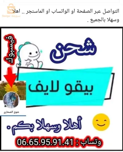شحن تطبيق بيقو لايف