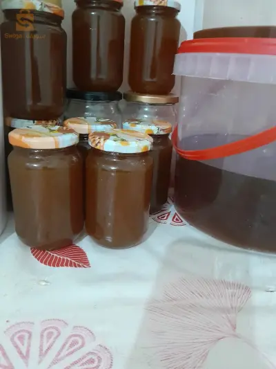 الجزائر