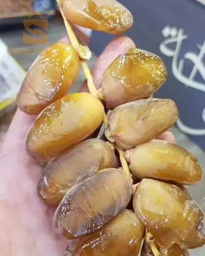 شمروخ